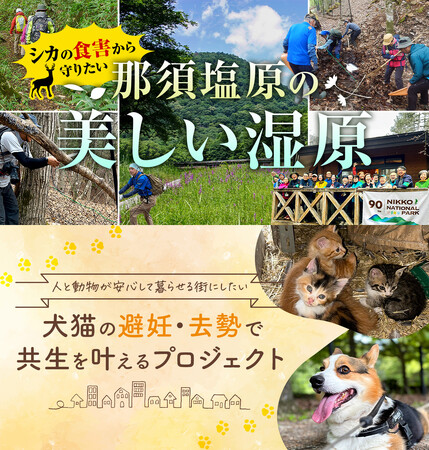 【栃木県那須塩原市】「美しい湿原の保全」と「犬猫との共生」のため、ふるさと納税を活用したクラウドファンディングを開始