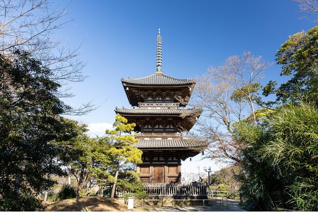 本牧の丘から横浜の街を見守る　三溪園のシンボル「重要文化財旧燈明寺三重塔」保存プロジェクト始動！（７月10日～）