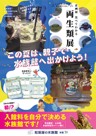 この夏は