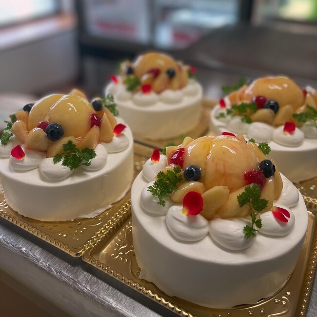 夏は宮崎へ！日南市の