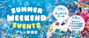【花王バブ×タッチングプール×アトレ新浦安】海のいきものを見て、触れて、描いて楽しむ、コラボイベントを7月19日(土)開催！