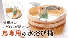 職人技を愛鳥のために。「水浴びOK(桶)」をクラウドファンディング Creema SPRINGSにて販売開始！