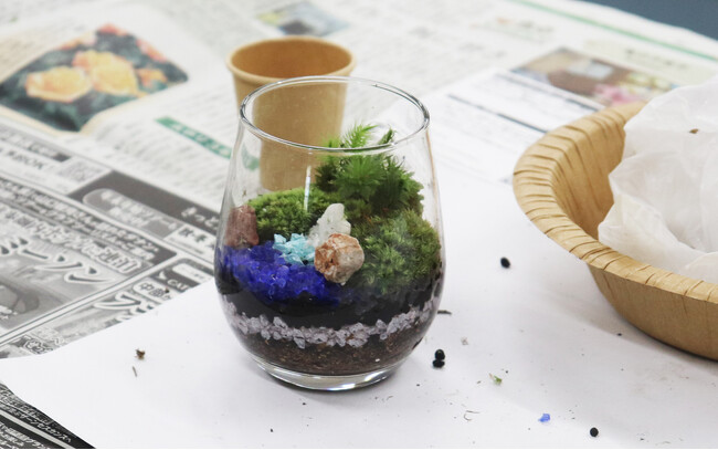 【JAF三重】癒やしとおしゃれのいいとこどり！JAFデー 苔玉・苔テラリウムを作ろう！を開催します