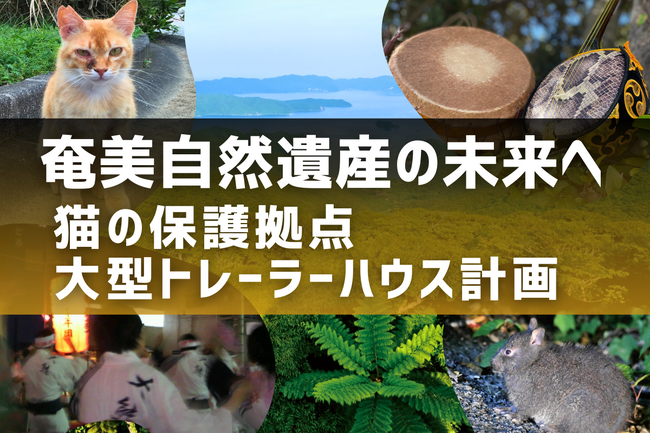 世界自然遺産の登録地・奄美大島で 外猫ゼロを目指して クラウドファンディングに初挑戦!