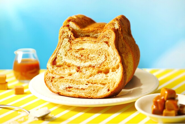 【塩キャラメル×パン新商品】香ばしいキャラメル風味が広がる『ねこねこ食パン 塩キャラメル』をはじめ、甘じょっぱさがクセになる『塩キャラメルリング』や『塩キャラメルクロワッサン』など新作パンが初登場！