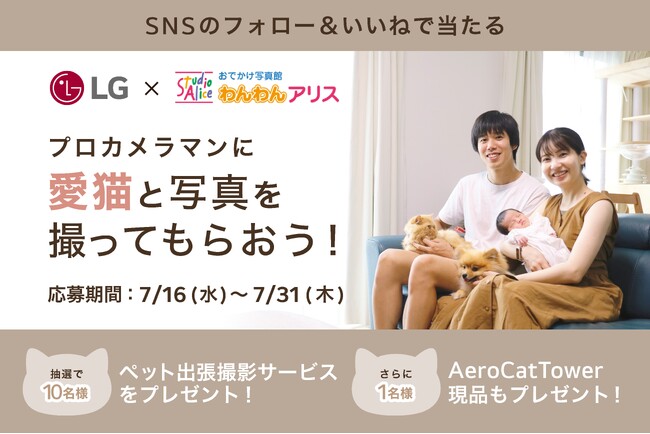 LGエレクトロニクス×わんわんアリス『プロカメラマンに愛猫と写真を撮ってもらおう！キャンペーン』を本日7月16日（水）～7月31日（木）まで実施