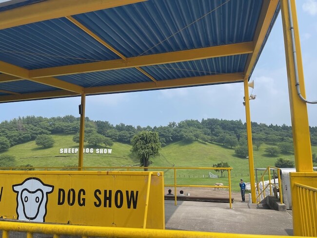 過酷な夏に牧羊犬として働くワンちゃんへプレゼント第一弾