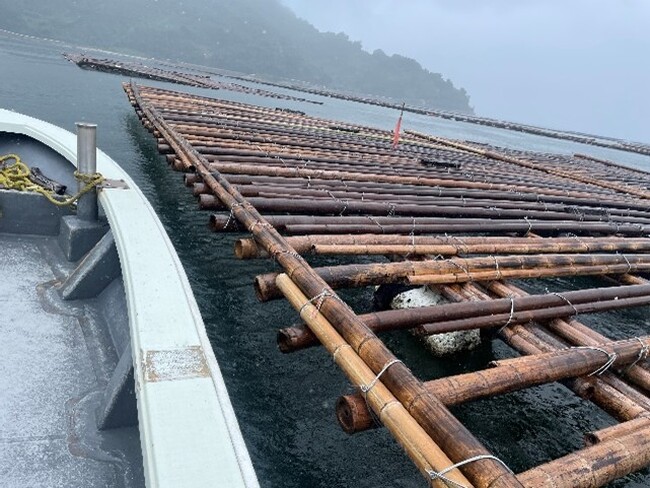 漁業系・海域発生ごみの抑制へ　漁業者と連携した実証事業、広島発でスタート