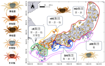 ゲノムから探るサワガニの複雑な分布と進化史　