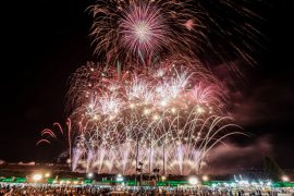 夏の夜空を彩る大輪の花火 夏の夜空を彩る大輪の花火