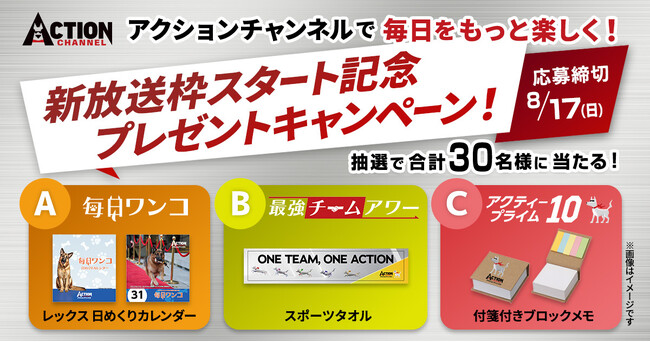 8月、アクションチャンネルの編成がリニューアル！【毎日ワンコ】【最強チームアワー】【アクティープライム10】　3つのテーマ編成で、もっと見やすく！もっと楽しめる！