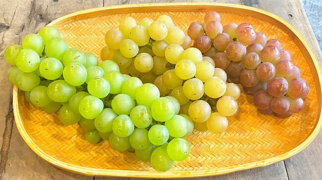 【阪神梅田本店】大阪オリジナルぶどう「虹の雫」が本年初入荷！