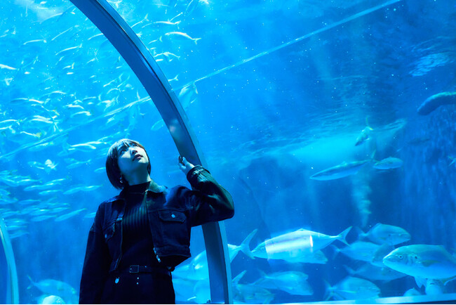 映えもスケールも桁違い！お城にしか見えない水族館【登別マリンパークニクス】