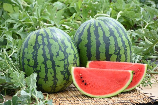 【JAF山形】山形県尾花沢市が特産品のスイカで参加者や見学者をおもてなし、運転の正確さを競う自動車競技「オートテストin尾花沢」が開催されます