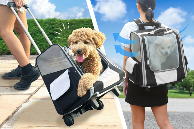【先着50枚限定・20％OFF!】真夏のペットの移動に!夏はリュックで暑さ対策、冬はカートで快適移動。1年中使える軽量ペットキャリーが楽天お買い物マラソンで今だけ20％OFFクーポンを配布中!