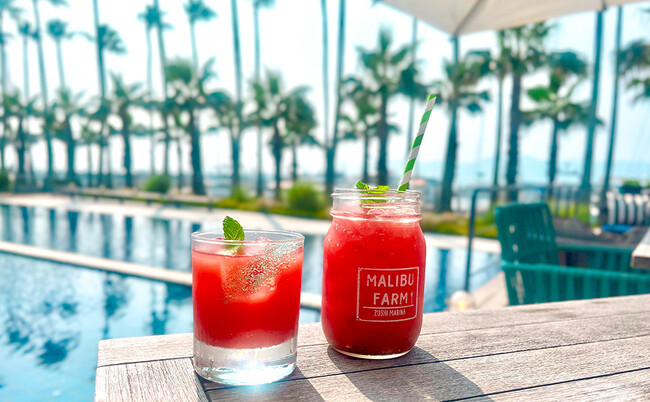 猛暑の夏、地元の三浦スイカてととのう！7/27“スイカの日”に合わせ、湘南リゾート【マリブファーム 逗子マリーナ】に夏季限定のご褒美ドリンク登場｜美容& 熱中症対策にも最適な“夏の宝石”を味わう一杯