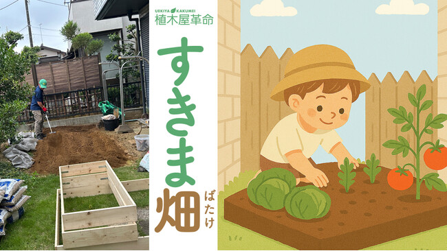 夏休みを応援！家庭菜園「すきま畑」のモニター募集キャンペーン