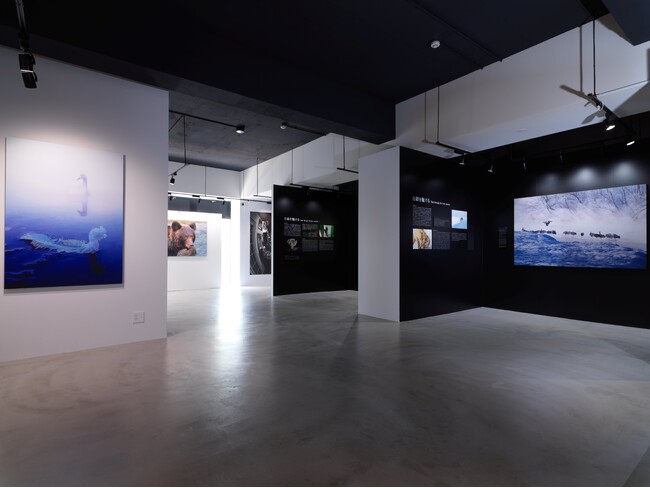 【夏休みは阿寒湖でアートに触れる学び体験を！】「あかん遊久の里 鶴雅」で小学生向け自由研究応援宿泊プランを販売開始