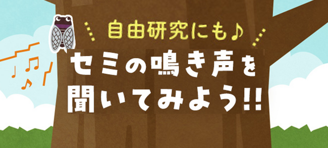 夏休み自由研究に 「セミの鳴き声を聞いてみよう」WEBサイト公開