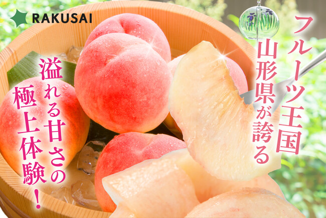 山形県産「溢れる甘さ！あかつき桃」を販売開始！とろける甘さ、滴る果汁の贅沢を再び