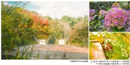 ROKKO森の音ミュージアムSIKIガーデンAutumn Season紅葉の見頃は10月中旬～11月中旬2025年8月23日（土）～11月30日（日）