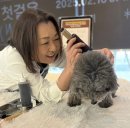 わんこのおきゅう In韓国 わんこのおきゅう In韓国