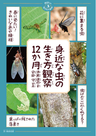 夏休みの自由研究にも最適！身近な場所でマニアな虫を見つけてみよう！「身近な虫の生き方観察12か月」発売中
