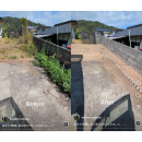 長年の空き家のヨモギ徹底除草 長年の空き家のヨモギ徹底除草