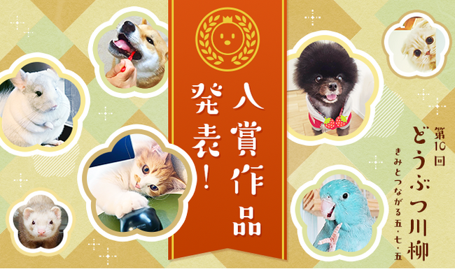 第十回「どうぶつ川柳」入賞作品発表!愛情と個性あふれる作品をご紹介