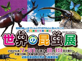 世界の昆虫展