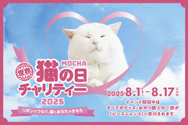 猫とのふれあいが寄付につながる。8月8日の「世界猫の日」に合わせ初のチャリティーイベントを開催。猫カフェMOCHA『 世界猫の日チャリティー2025～リボンでつなぐ、猫とあなたのきもち～ 』開催