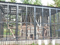 飼育下ニホンザルの「ケンカ」を減らす工夫の実証(北里大学)