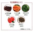 和漢植物エキス 和漢植物エキス