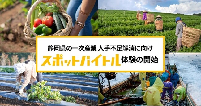 スポバ体験を通じて静岡県の一次産業に新たな担い手創出を ディップ×SBSラジオ「スポットバイトル体験企画」7月24日より開始