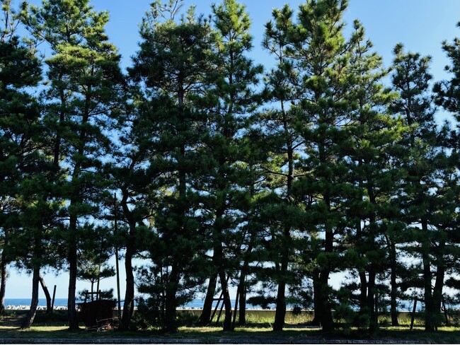 コギコギ株式会社、瀬戸内国際芸術祭 2025に初参加の香川県さぬき市で、一般社団法人さぬき市津田地区まちづくり協議会、高松琴平電気鉄道と共同でシェアサイクル事業を開始