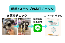 お口の健康チェックキット使い方 お口の健康チェックキット使い方