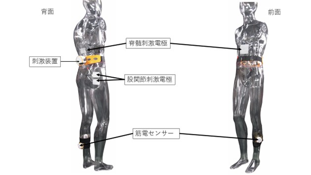 新しい脊髄刺激「FAST walk」でより速く歩けるように
