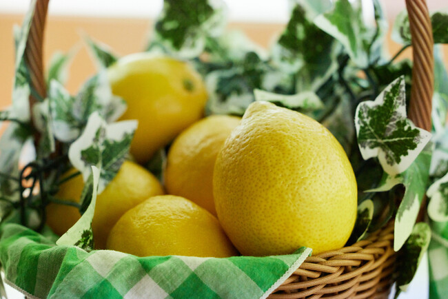 チリ産レモンが大阪・関西万博にて日本の夏を彩る