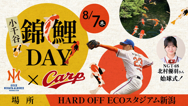 【新潟県小千谷市】オイシックス新潟アルビレックス・ベースボール・クラブ×広島東洋カープの交流戦に小千谷産錦鯉を初展示