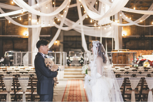 【大阪・AKARENGA WEDDING】愛犬と一緒のウエディングをご検討の方必見！！期間限定でペットシッター無料手配キャンペーンを開始。