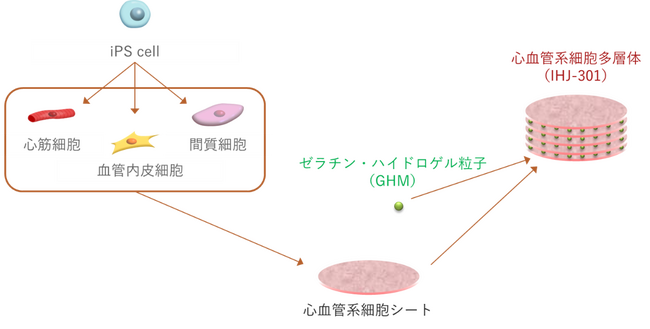 治験、１例目を実施！～iPS細胞から作った細胞とバイオマテリアルのハイブリッド製品～