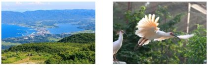 世界遺産登録から1年「300年以上前からサステナブルな島」佐渡から考える未来を育む“トキ“をパートナーとする地域の豊かな暮らしの作り方