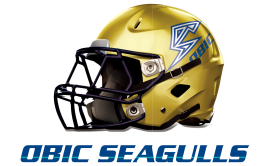 オービックシーガルズ