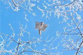 第7回北海道撮影ポイントランキング年間グランプリ展　グランプリ受賞作品