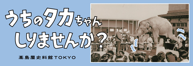 【高島屋史料館TOKYO】うちのタカちゃん 知りませんか？