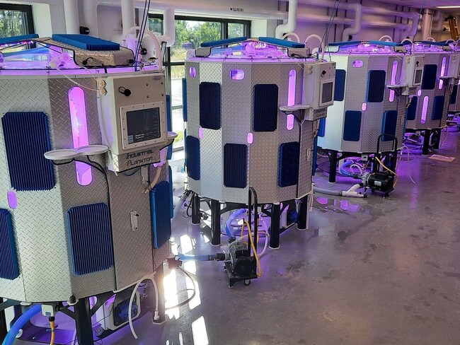 宇宙船!? ロボット!? 実は、カナダ製の微細藻類の培養装置。北海道から沖縄まで導入が広がり、日本の水産業を進化させている！