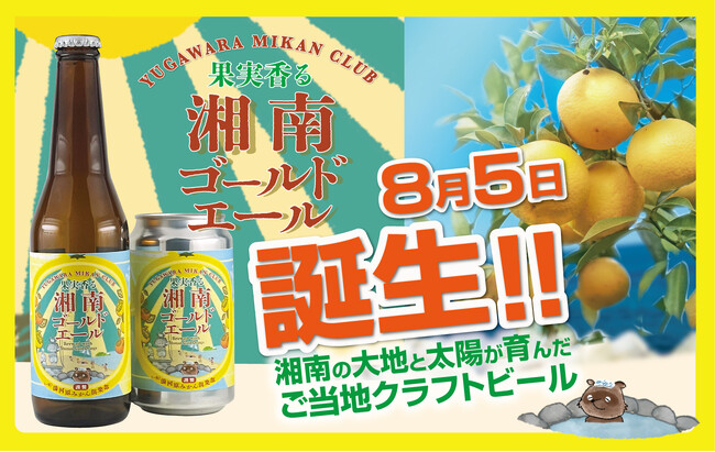 【西湘地域限定】 地元みかん農家と仲間たちでつくったクラフトビール『果実香る 湘南ゴールドエール』 新登場！