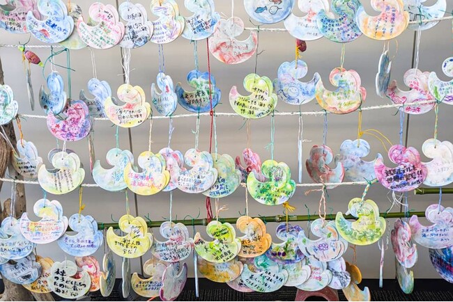 大阪・関西万博「対馬ウィーク」展示作品を、対馬やまねこ空港にて特別公開中