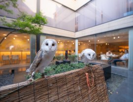 ふくろうとダイニングカフェ・チグサ全景