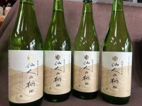 宮崎発 日本三大秘境・椎葉村の棚田米から生まれた日本酒「仙人の棚田」が8月1日発売！【1,600本限定】